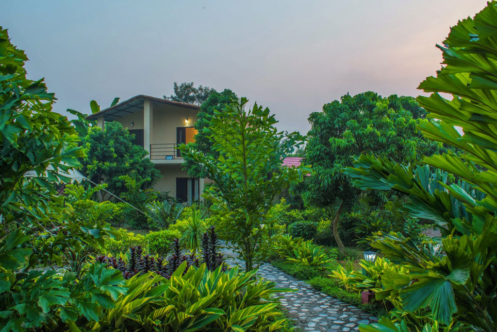 Corbett Tigers N Trees Resort